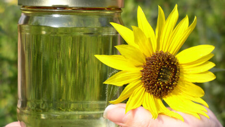 Biodiesel