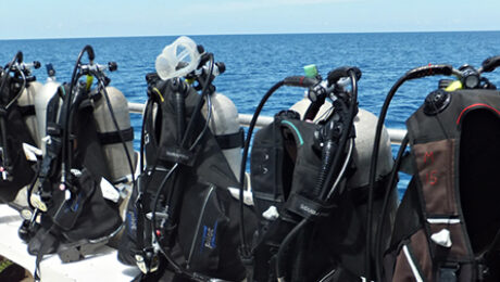 Cleaning Scuba Diving Gear With Ultrasonic Cleaners